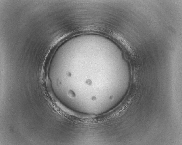 X0000115530876200911201717