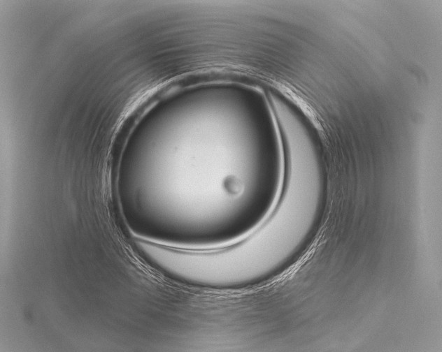 X0000115530877200911201717