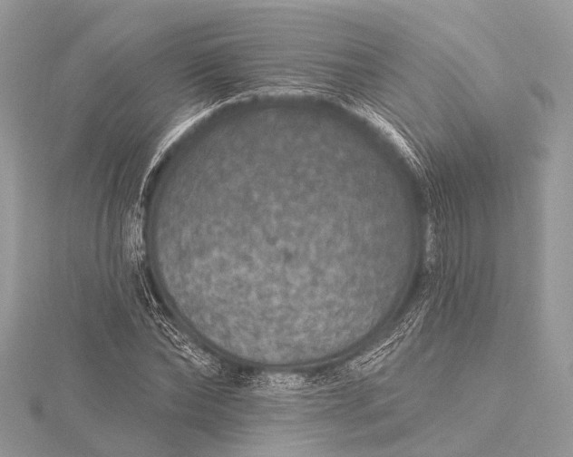 X0000115530878200911201717