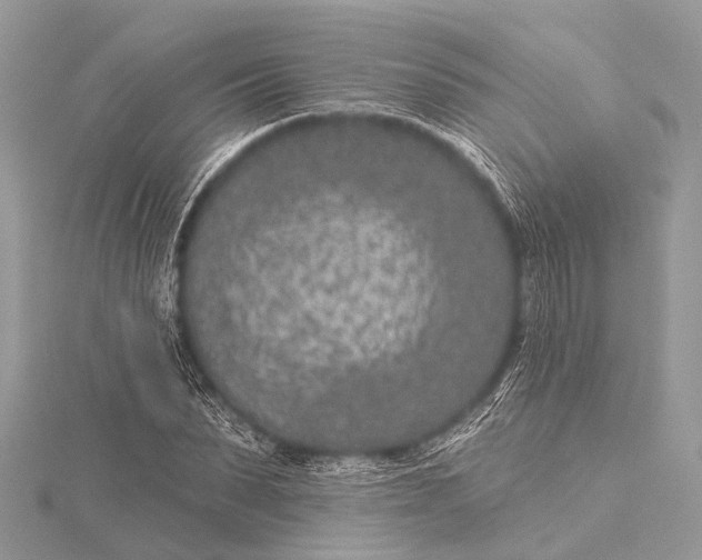 X0000115530879200911201717