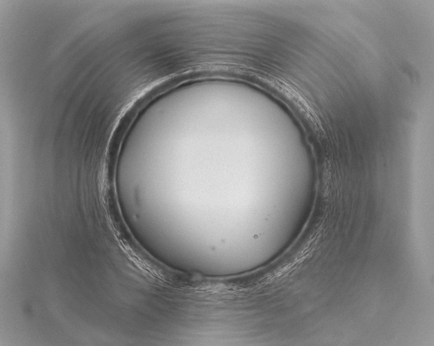 X0000115530880200911201717