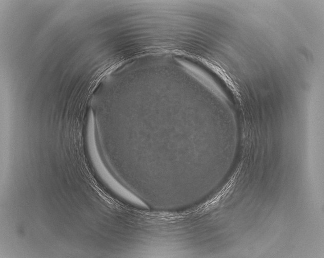 X0000115530881200911201717