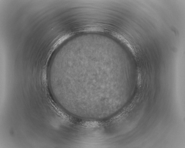 X0000115530882200911201717