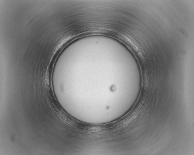 X0000115530883200911201717