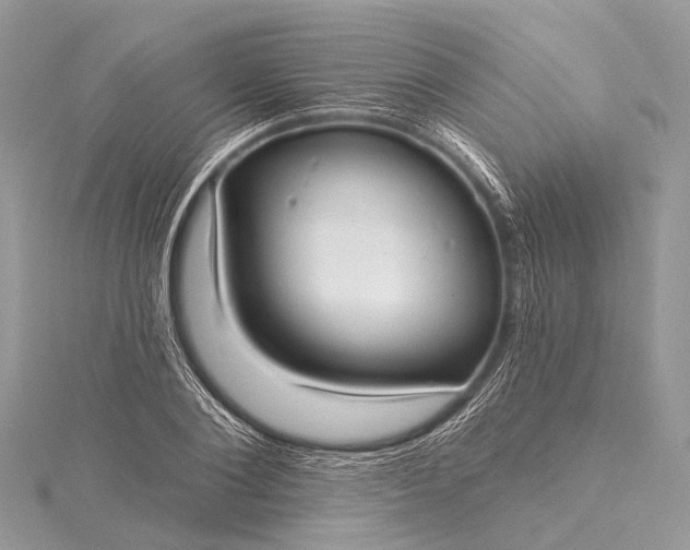 X0000115530884200911201717