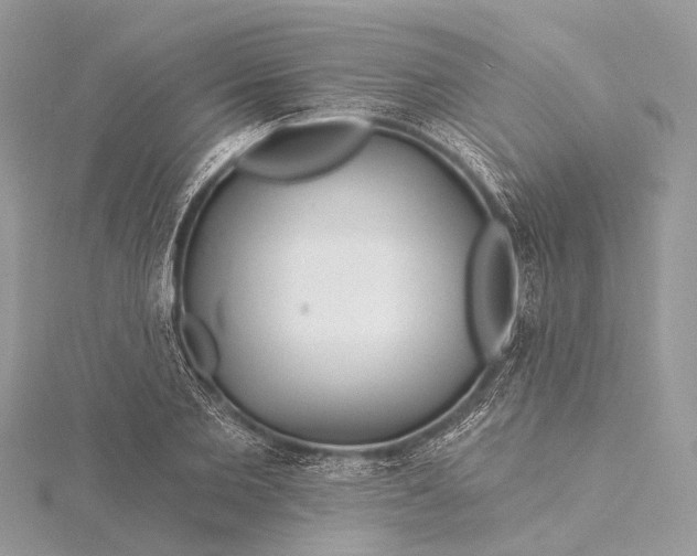 X0000115530885200911201717