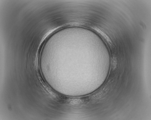 X0000115530886200911201717