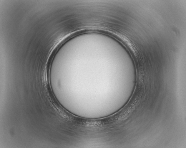 X0000115530887200911201717