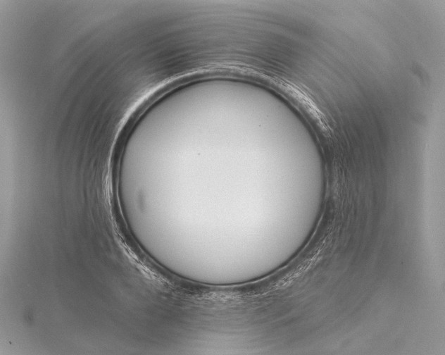 X0000115530888200911201717