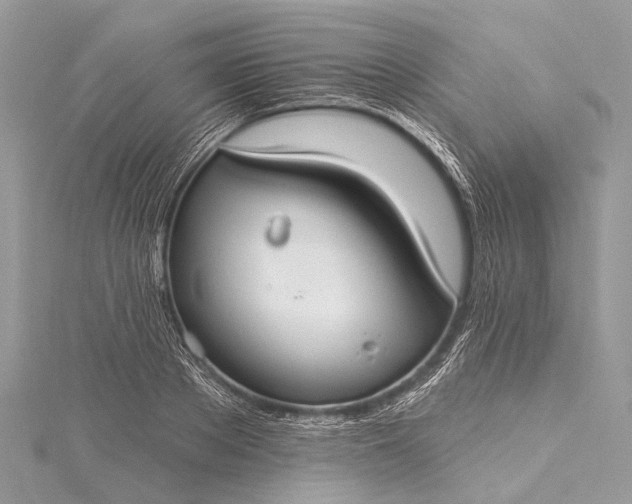 X0000115530889200911201717