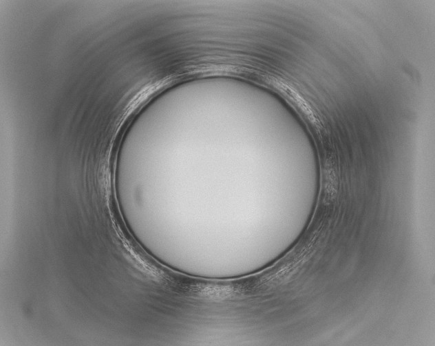 X0000115530890200911201717