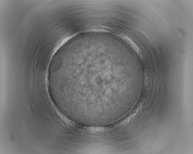 X0000115530893200911201717