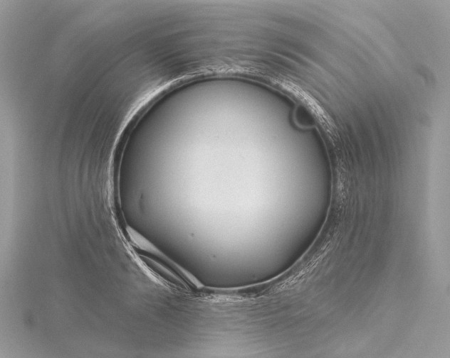 X0000115530894200911201717