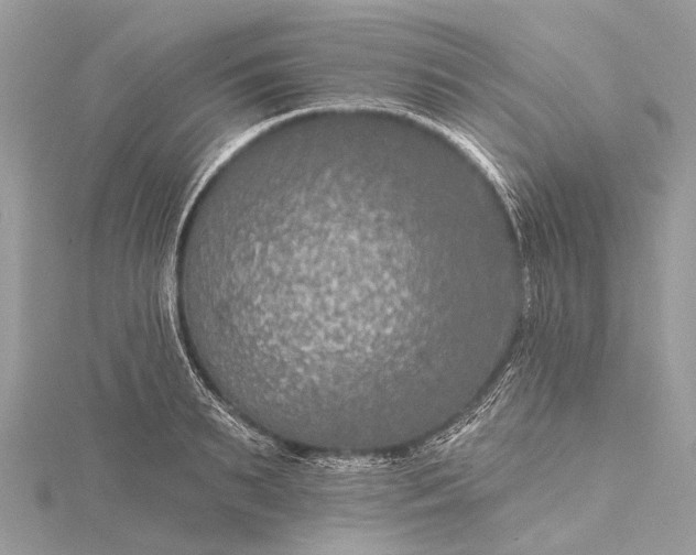 X0000115530895200911201717