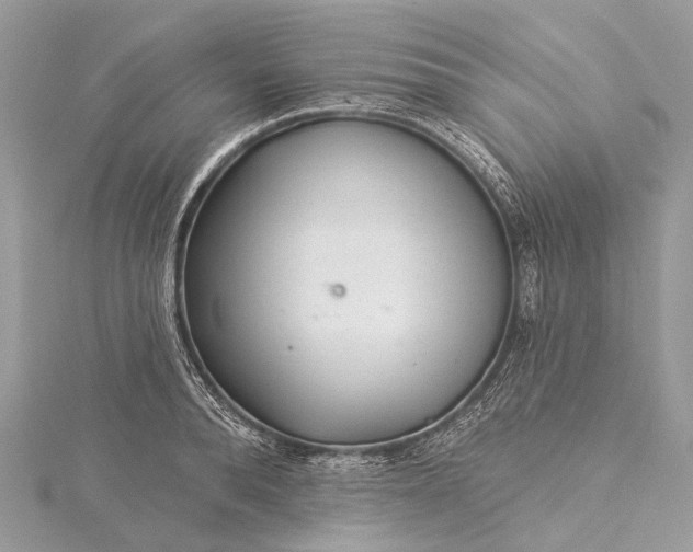 X0000115530896200911201717