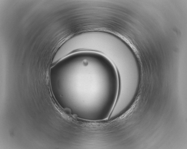 X0000115530897200911201717