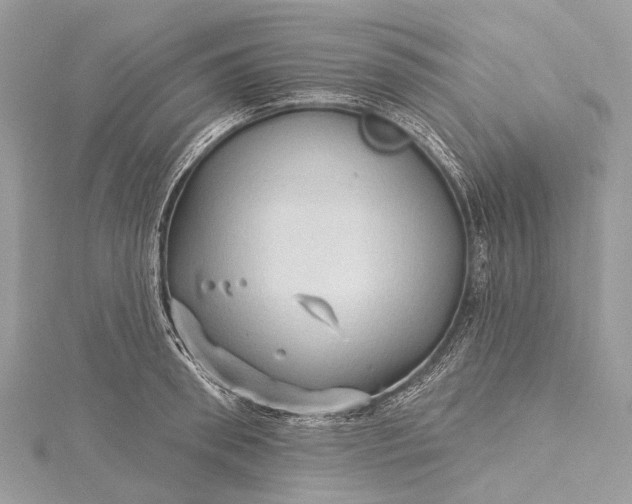 X0000115530898200911201717