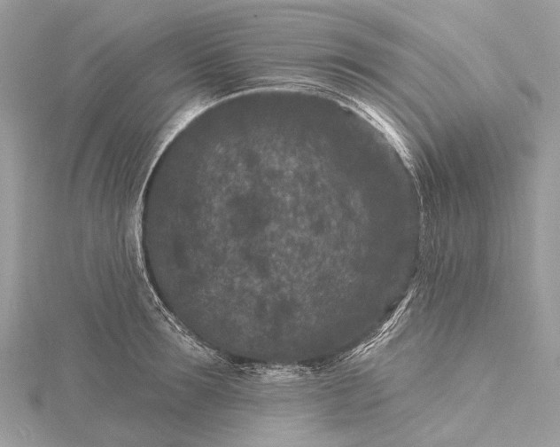 X0000115530899200911201717