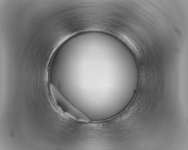 X0000115530900200911201717