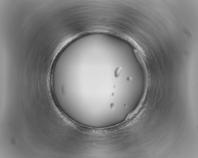 X0000115530901200911201717