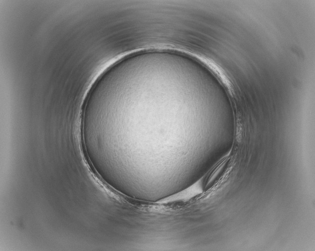 X0000115530903200911201717