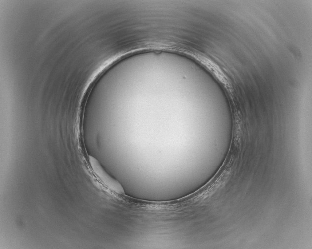 X0000115530904200911201717