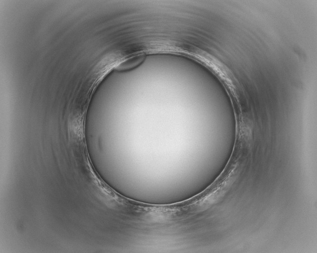 X0000115530905200911201717