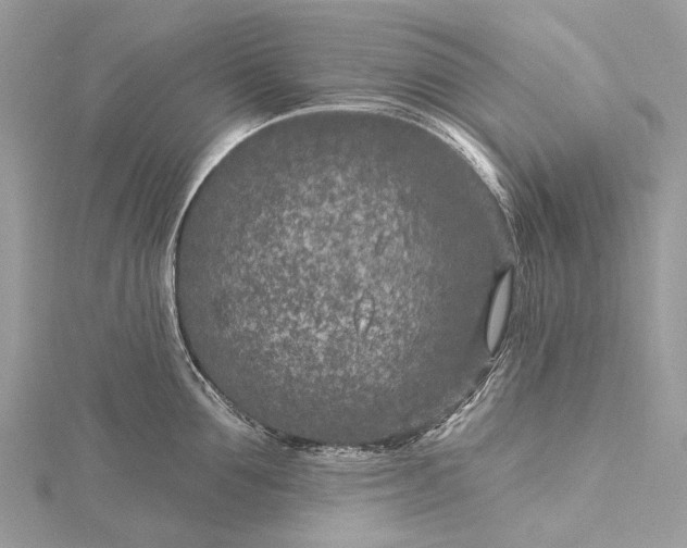 X0000115530907200911201717