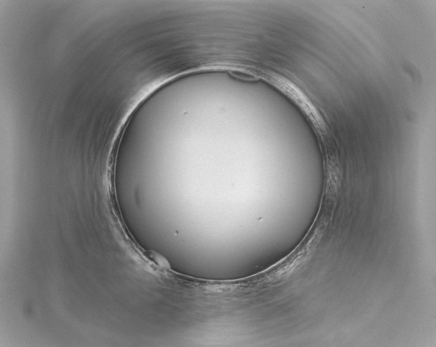 X0000115530908200911201717