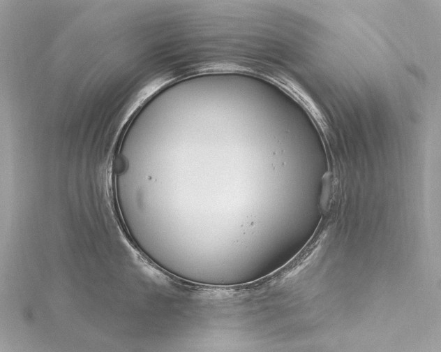 X0000115530909200911201717