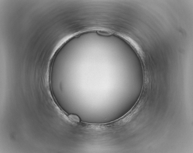 X0000115530910200911201717