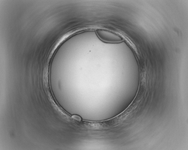 X0000115530911200911201717