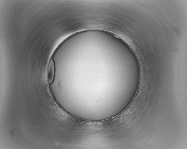 X0000115530912200911201717