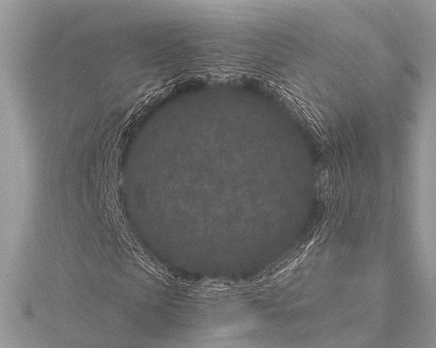 X0000115530913200911201716