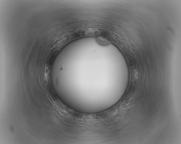 X0000115530914200911201716