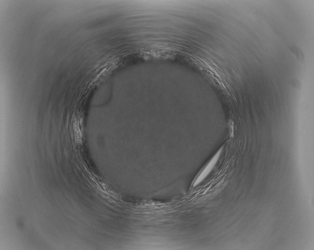 X0000115530915200911201716