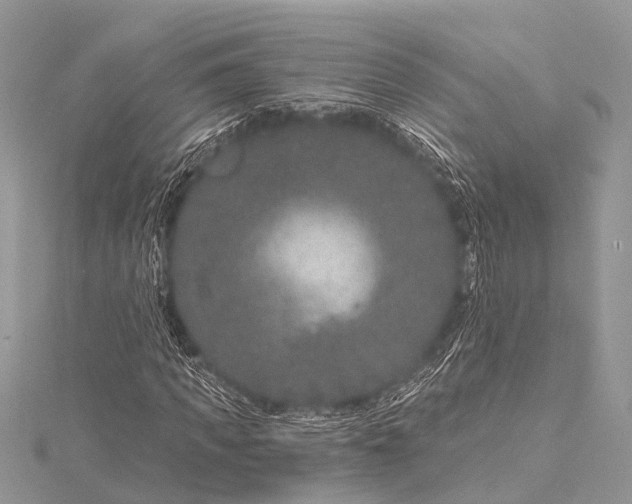 X0000115530917200911201716