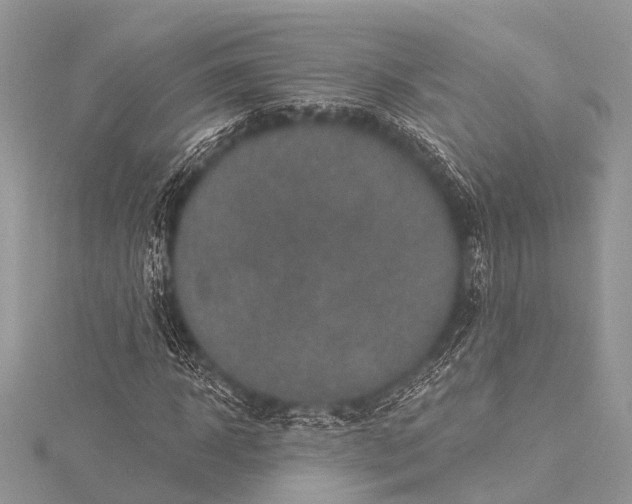 X0000115530918200911201716