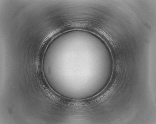 X0000115530922200911201716