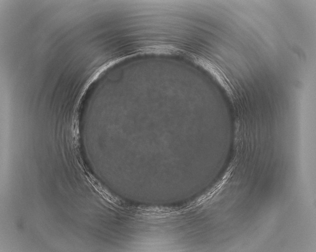 X0000115530923200911201716