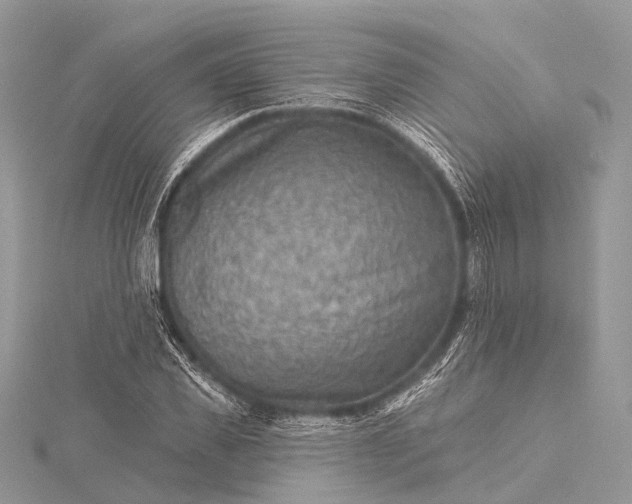 X0000115530925200911201716