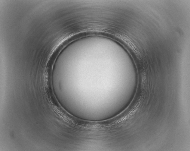 X0000115530926200911201716