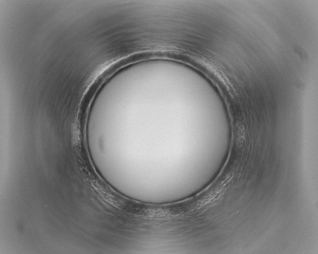 X0000115530927200911201716