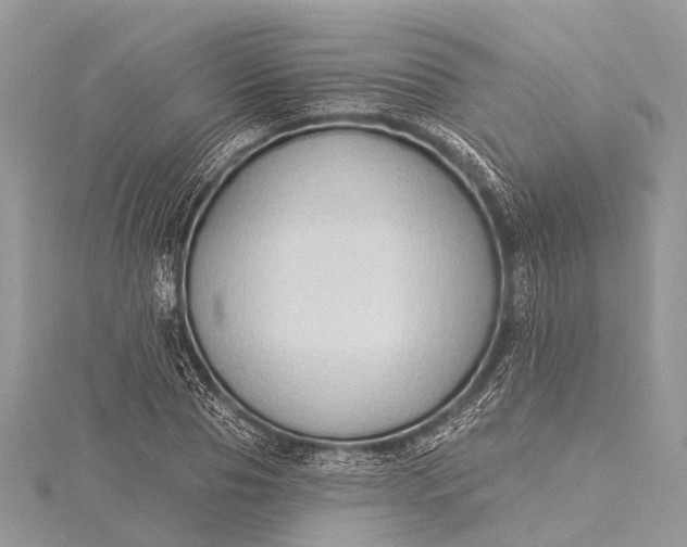 X0000115530929200911201716