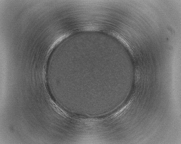 X0000115530930200911201716