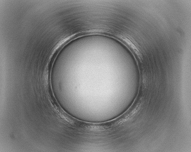 X0000115530933200911201716