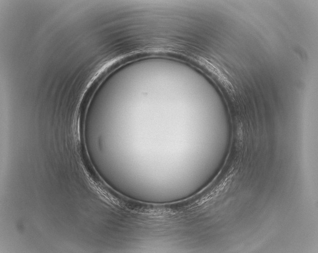 X0000115530934200911201716