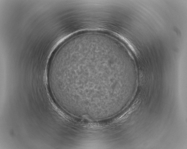 X0000115530935200911201716