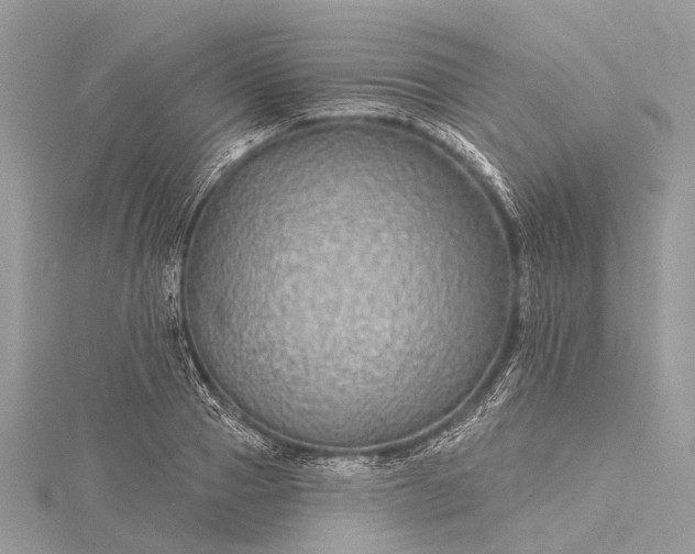 X0000115530937200911201716