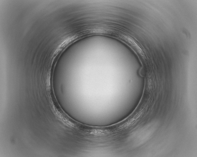 X0000115530938200911201716